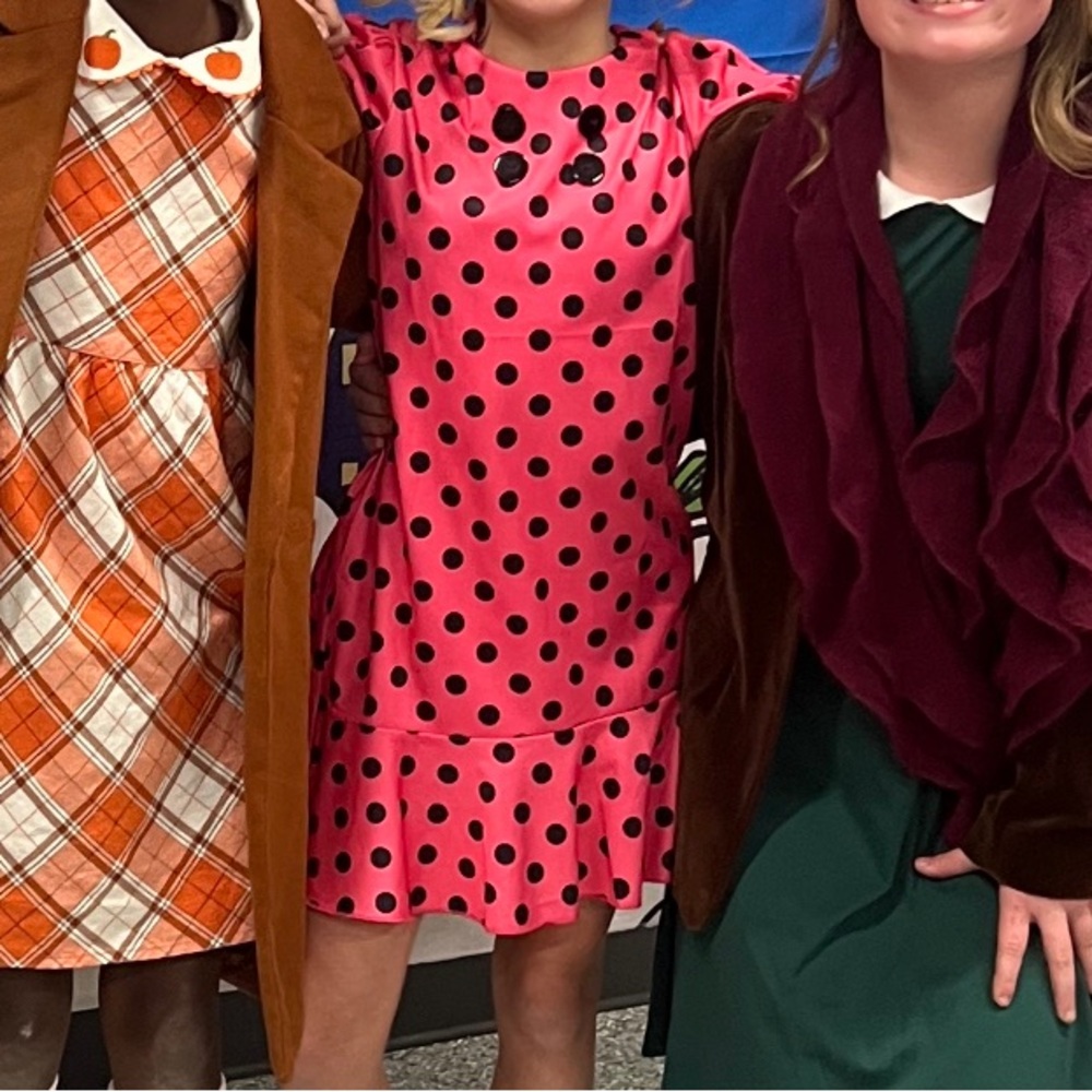 Sally Brown Peanuts Costume